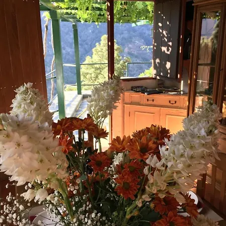 Lodge De Taburiente *